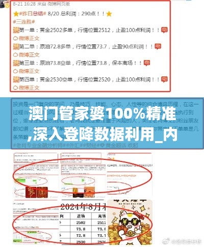 澳門管家婆100%精準,深入登降數據利用_內容創作版BIY13.61