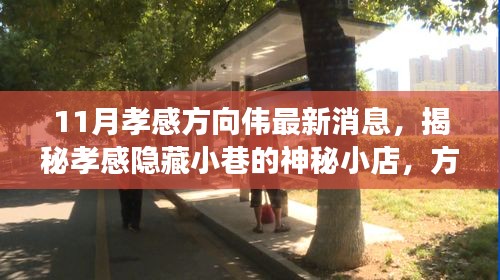 揭秘孝感隱藏小巷的神秘小店,方向偉的孝感美食之旅