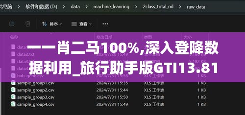 一一肖二馬100%,深入登降數據利用_旅行助手版GTI13.81
