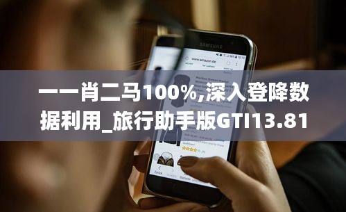 一一肖二馬100%,深入登降數據利用_旅行助手版GTI13.81