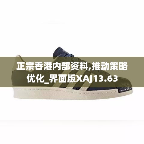 正宗香港內部資料,推動策略優化_界面版XAJ13.63