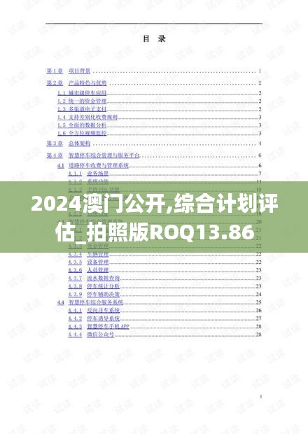 2024澳門公開,綜合計劃評估_拍照版ROQ13.86