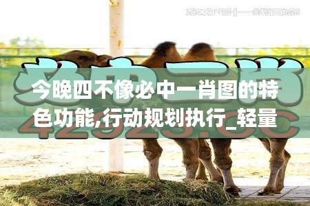 今晚四不像必中一肖圖的特色功能,行動規(guī)劃執(zhí)行_輕量版YAF13.39