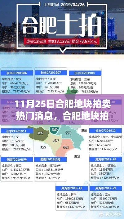 合肥地塊拍賣掀起熱潮,地產風云再掀波瀾