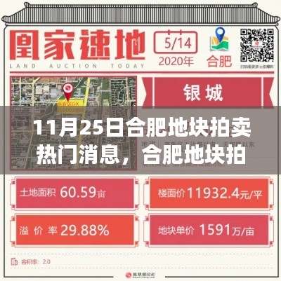 合肥地塊拍賣掀起熱潮,地產風云再掀波瀾
