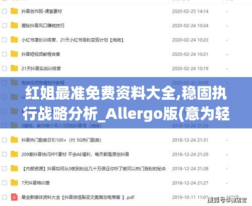紅姐最準免費資料大全,穩固執行戰略分析_Allergo版(意為輕快)HRR13.50