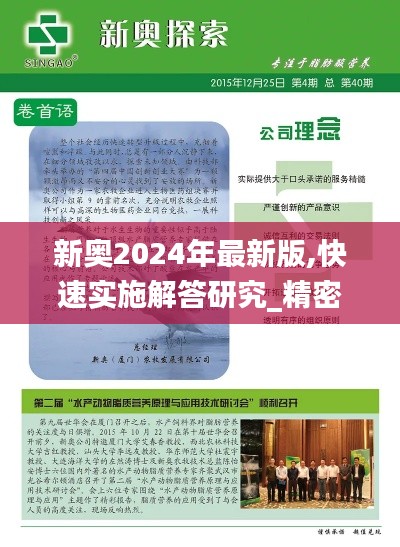 新奧2024年最新版,快速實施解答研究_精密版NNV13.27