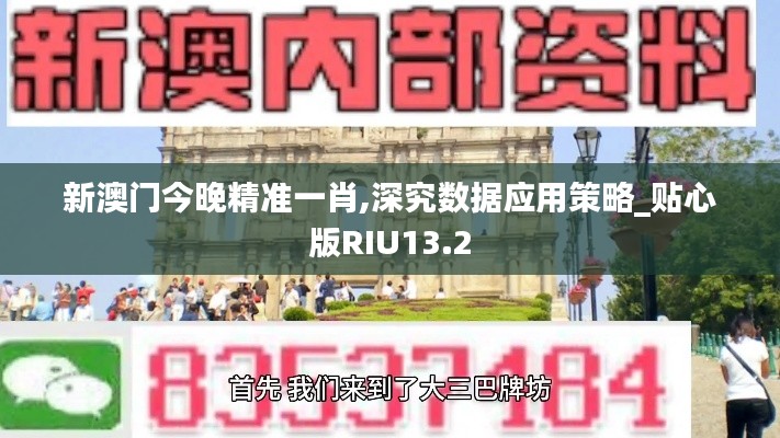 新澳門今晚精準一肖,深究數據應用策略_貼心版RIU13.2