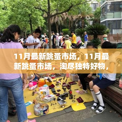 11月最新跳蚤市場,淘獨特好物,享別樣購物樂趣