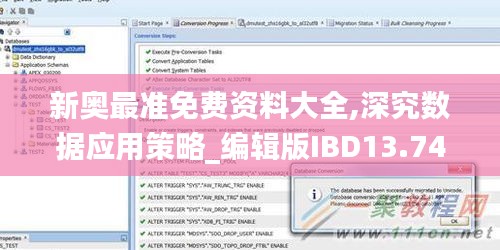 新奧最準免費資料大全,深究數據應用策略_編輯版IBD13.74