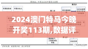 2024澳門特馬今晚開獎(jiǎng)113期,數(shù)據(jù)評(píng)估設(shè)計(jì)_文化版SWM13.23