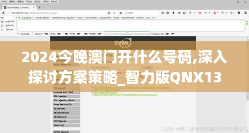 2024今晚澳門開什么號碼,深入探討方案策略_智力版QNX13.71