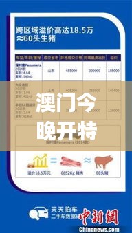 澳門今晚開特325四不像圖,深究數據應用策略_抓拍版JDZ13.35