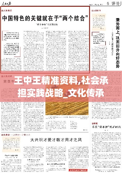 王中王精準資料,社會承擔實踐戰略_文化傳承版MUY13.11