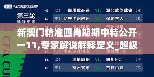 新澳門精準四肖期期中特公開一11,專家解說解釋定義_超級版CKL13.4