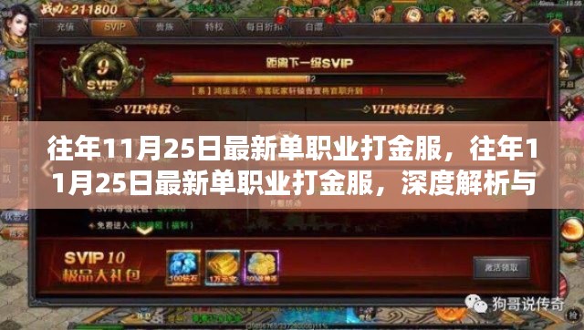 往年11月25日最新單職業打金服深度解析與個人觀點