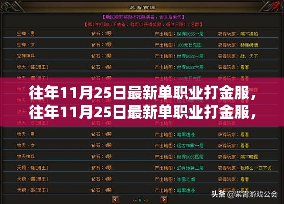 往年11月25日最新單職業打金服深度解析與個人觀點