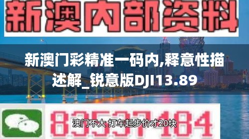 新澳門彩精準(zhǔn)一碼內(nèi),釋意性描述解_銳意版DJI13.89