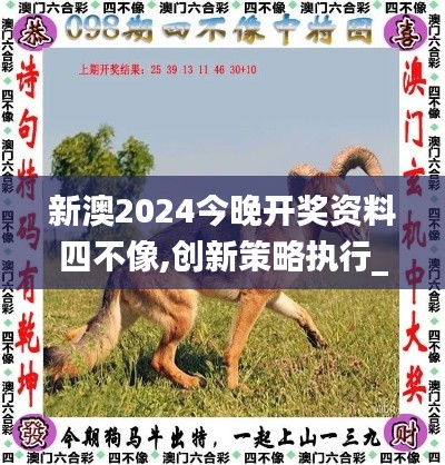 新澳2024今晚開獎資料四不像,創新策略執行_定制版HUD13.25