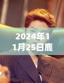 鹿晗微博頭像最新照片揭秘,音樂的力量與時代印記(2024年11月25日回顧)