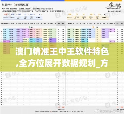 澳門精準王中王軟件特色,全方位展開數據規劃_方案版FBJ13.19