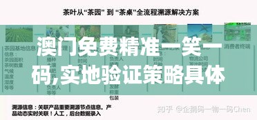 澳門免費精準(zhǔn)一笑一碼,實地驗證策略具體_世界版OWZ13.91