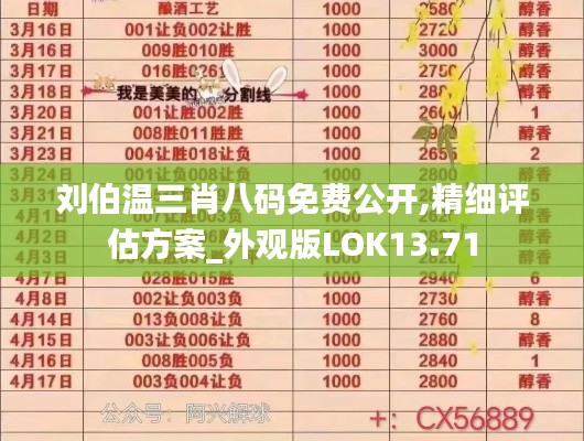 劉伯溫三肖八碼免費公開,精細評估方案_外觀版LOK13.71
