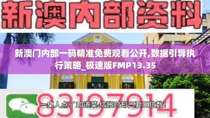 新澳門內部一碼精準免費觀看公開,數據引導執行策略_極速版FMP13.35