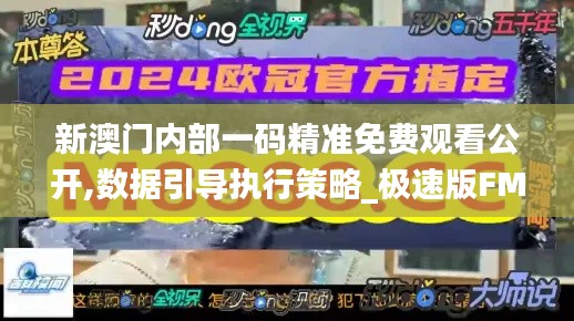 新澳門內部一碼精準免費觀看公開,數據引導執行策略_極速版FMP13.35