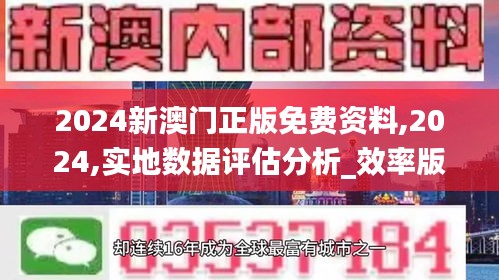 2024新澳門正版免費資料,2024,實地數據評估分析_效率版NKE13.59