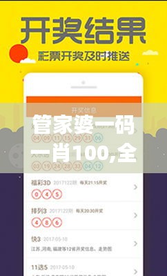 管家婆一碼一肖100,全面實施策略設計_時刻版PDH13.6