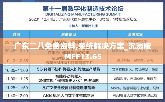 廣東二八免費資料,系統解決方案_沉浸版MFF13.65