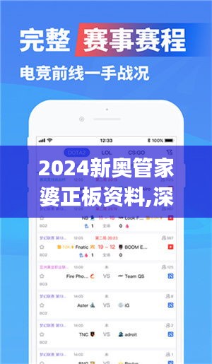 2024新奧管家婆正板資料,深入挖掘解釋說明_極速版AMB13.11