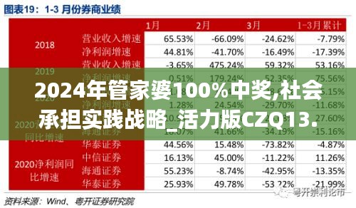 2024年管家婆100%中獎,社會承擔實踐戰略_活力版CZQ13.6
