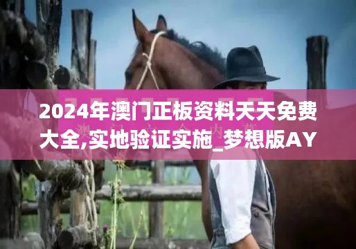 2024年澳門正板資料天天免費大全,實地驗證實施_夢想版AYD13.91