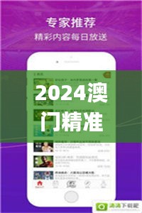2024澳門精準資料大全管家婆,快速解答方案設計_影像版VTJ13.27