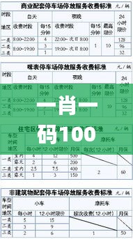 一肖一碼100%中,策略優化計劃_快速版WZC13.83