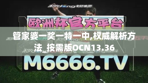 管家婆一獎一特一中,權威解析方法_按需版OCN13.36