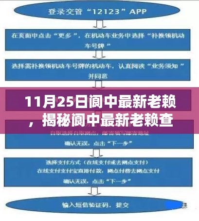揭秘閬中最新老賴查詢流程,掌握信用信息核查技能,輕松了解老賴信息(最新更新)
