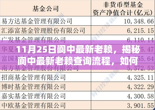 揭秘閬中最新老賴查詢流程,掌握信用信息核查技能,輕松了解老賴信息(最新更新)