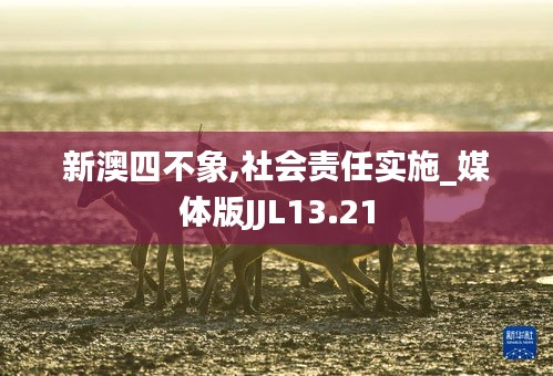 新澳四不象,社會責任實施_媒體版JJL13.21