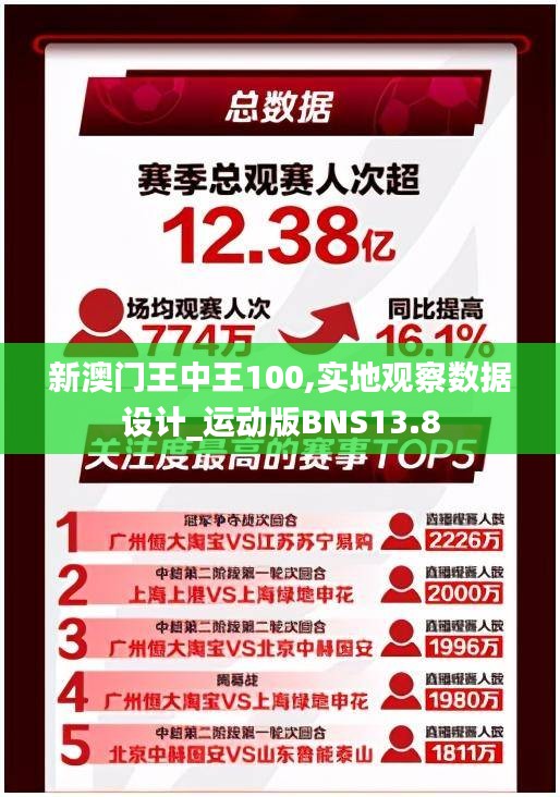 新澳門王中王100,實地觀察數據設計_運動版BNS13.8