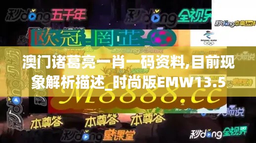 澳門諸葛亮一肖一碼資料,目前現象解析描述_時尚版EMW13.5
