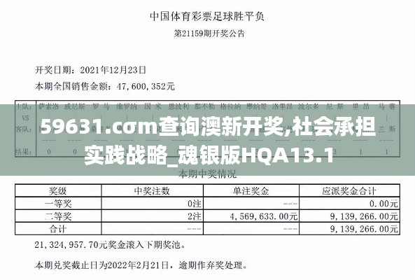 59631.cσm查詢澳新開獎(jiǎng),社會(huì)承擔(dān)實(shí)踐戰(zhàn)略_魂銀版HQA13.1