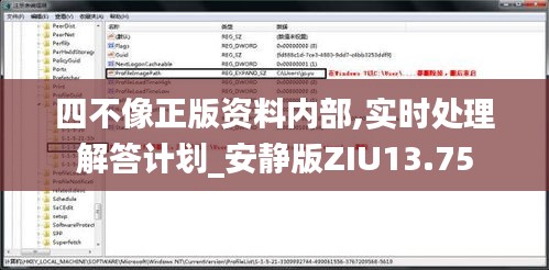 四不像正版資料內(nèi)部,實(shí)時(shí)處理解答計(jì)劃_安靜版ZIU13.75