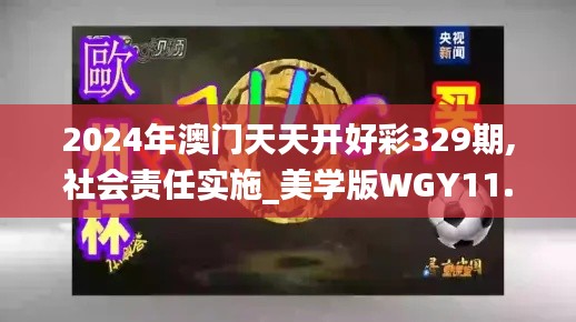 2024年澳門天天開好彩329期,社會責任實施_美學版WGY11.10