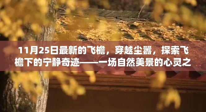 飛檐下的心靈之旅,穿越塵囂探尋自然美景的奇跡