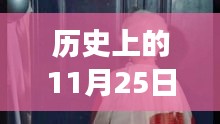 葉辰的都市極品醫神之旅,變化、學習與自信的力量——歷史上的11月25日最新章節
