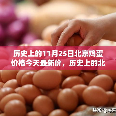 北京雞蛋價格演變與今日市場最新動態(tài)分析,歷史數(shù)據(jù)與今日市場對比報告