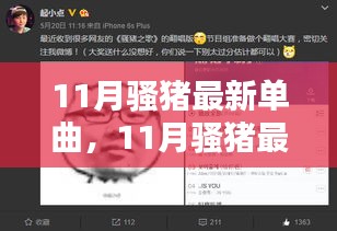 11月騷豬最新單曲全面評測與介紹